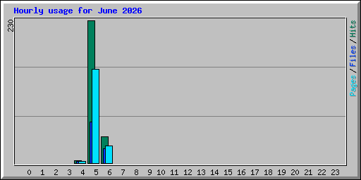 Hourly usage for June 2026
